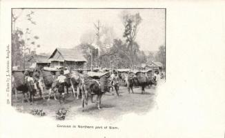 Caravan in Northern part of Thailand (cut)