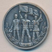 Románia 1977. "30 éve szabadult fel Románia a fasizmus alól" ezüstözött Br emlékérem (35mm...