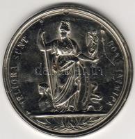 Nagy-Britannia cca1890. nagyalakú plakett T:2/3 karc