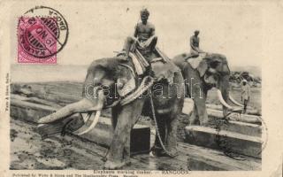 Burmese folklore, elephants working with timber (EB)