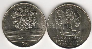 Csehszlovákia 1970. 25Kr ezüst (2x) T:1