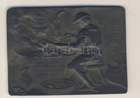 Németország 1910. Vegyész öntött bronz plakett (62x85mm) T:2 Germany 1910. Chemist Br plaque (62x85mm) C:XF