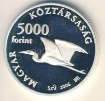 2006. 5000Ft Ag "Fertő kultúrtáj" T:PP