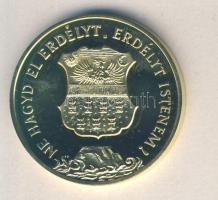 1989. "Temesvár - Erdély" aranyozott emlékérem (d=42mm) T:PP
