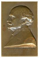 Zsákodi Csiszér János (1883-1953) 1912. "Wlassics Gyulának A M. Kir. Köigazg. Bíróság Ítélő Bírái, 1912, március 17" Br emlékérem (81x54mm) T:2 / Hungary 1912. Gyula Wlassics politician, minister Br commemorative medal Sign: János Zsákodi Csiszér (81x54mm) C:XF