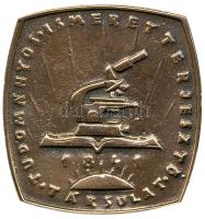 Csontos László (1925-) 1939. "Bugat Pál" bronz emlékérem (76x80mm) T:1- /
Hungary 1939. Pá...