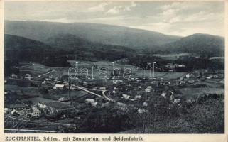 Zlaté Hory Silk factory, Sanatorium (EK)