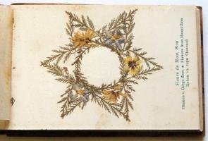 cca 1900 A Szentföld képei és virágai fa-borítású füzet a 12 kőnyomatos képpel és szárított virágokk...