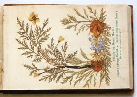 cca 1900 A Szentföld képei és virágai fa-borítású füzet a 12 kőnyomatos képpel és szárított virágokk...