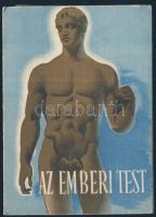 cca 1945 Az emberi test - széthajtható tájékoztató - Bayer gyógyszerreklámmal