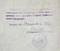 1911 Orvosi diploma függőpecsét nélkül, hajtásnyomokkal. Pergamen 60x50 cm