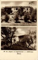 Dömös Magyar Kir. Folyam- és Tengerhajózási Rt. üdülőtelepe