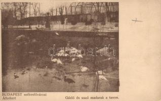 Budapest XIV. Állatkert tó