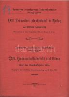 1905 Temesvár-Józsefvárosi Takarékpénztár Rt. üzleti jelentése magyar és német nyelven