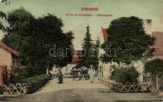 Fogaras horse farm