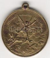 1898. "Szabadságharc" bronz emlékérem T:3+