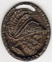 cca1914. "Odüsszeusz" plakett szign:Zutt T:2