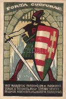 Porta culturae, hungarian irredenta, s: Wenczel