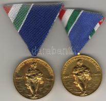 1954. "Dunai árvízvédelemért" kitüntetés 2 klf db aranyozva, eredeti tokban T:2