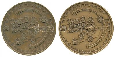 Bozó Gyula (1913-) 1988-1991. "Szent István Királyunk halálának 950. évfordulója emlékére / A S...