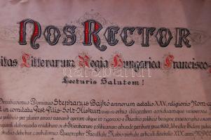 1872 Díszes ügyvédi- és politikatudományi oklevél szép állapotban, hibátlan függő pecséttel