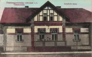 Tőketerebes sugar processing company