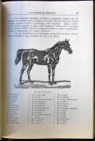 Kovácsy Béla és Monostori Károly: A ló és tenyésztése - kézikönyv lótenyésztők, lókedvelők, állatorv...