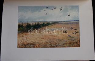 Alfred E. T. Watson: King Edward VII. as a sportsman, Longmans, Green and Co., London, 1911, with 1 ...