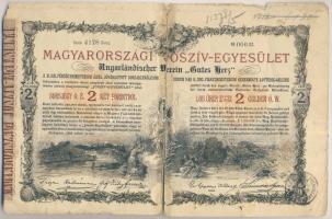 1888. "Magyarországi Jószív Egyesület" sorsjegye 2Ft-ról magyar és német nyelven (2x) T:3