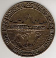 1989. "Nemzetközi Spaleológiai Kongresszus" extrém nagyalakú bronzplakett T:2