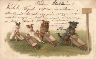 1899 Dogs, wheelbarrow litho