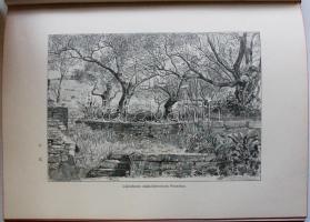 Az Osztrák-Magyar Monarchia írásban és képben Ausztria 8. kötet Az osztrák tengermellék és Dalmáczia...