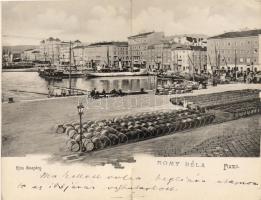 1904 Fiume 2 oldalas panorámalap (szakadás)