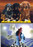 17 db sakk motívum modern képeslap / 17 Stk. moderne Schachmotiv-AK