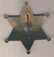 Amerikai Egyesült Államok "U.S. Marshall Texas PFCOS" Br hatágú csillag jelvény T:2
USA &q...