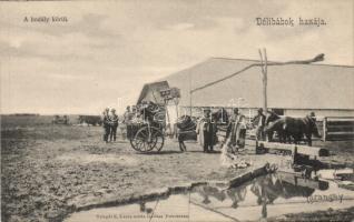 Hortobágy a hodály körül