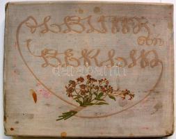 Album von Berlin, Charlottenburg und Potsdam. 5 grosse Panoramen und 132 Ansichten nach Momentaufnahmen in Photographiedruck. Berlin, o. J., Globus Verlag. Berlin fotóalbum, szecessziós kiadói egészvászon kötésben (sérült, ragasztott), jó állapotban / Berlin photo album in good condition (cover injured)