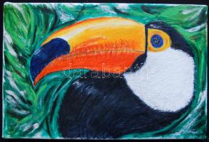 Avar Júlia: Tukán, olaj-vászon, 30x20cm