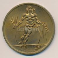 Borsos Miklós (1906-1990) 1980. "Fiziológiai Tudományok XXVIII. Nemzetközi Kongresszusa Budapest" Br emlékérem (60mm) T:2