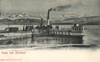 Zürich port, steamship