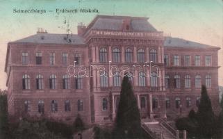 Selmecbánya Forestry school (fl)