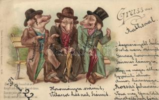 1899 Judaica satire, pigs, Karlovy Vary litho