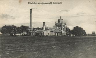 Mezőhegyes Szeszgyár