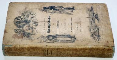 Linnäus Martin W. C.:Naturgeschichte des Menschen mit einer Einleitung über den innern Bau des Mensc...