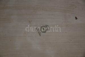 Virágokkal és fácánnal díszített jelzett Royal Epiag csehszlovák porcelán tálca /
Royal Epiag Czecho...