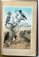 Lázár Kálmán, gróf: A lég urai. 10 nagy szinnyomatú fametszvénnyel és számos kőnyomatú ábrával. Pest...