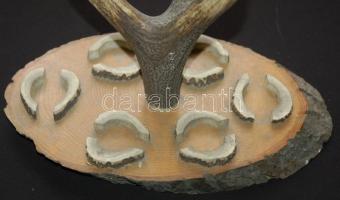 Asztali őzagancs trófea feles pohár tartókkal fa lapon 35x21cm