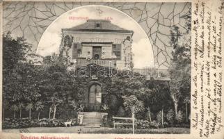 Mátrafüred villa (fa)