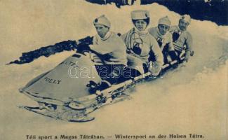 Tátra winter sport