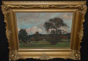 Vitéz Mátyás (1891-?): Tájkép, olaj-fa, 37x30cm, jelzett, keretben